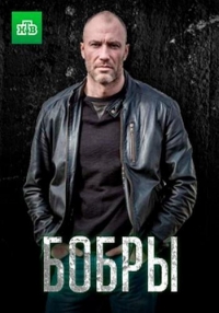 Постер «Бобры»