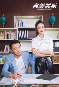 Постер «Идеальный партнер»