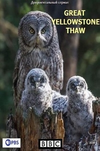 Постер «Великая американская оттепель»