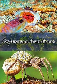 Постер «Стратегия жизни»