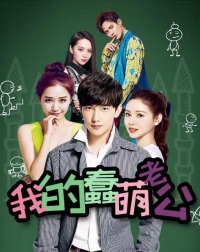 Постер «Мой милый глупый муж»