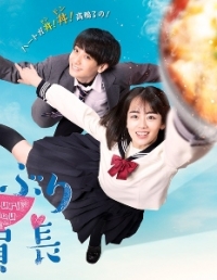 Постер «Староста донбури»