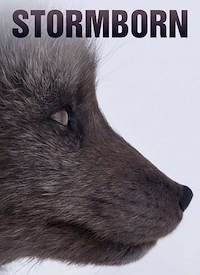 Постер «Рожденные бурей»