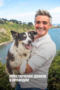 Постер «Приключение Донала в Ирландии»