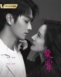 Постер «Она и ее идеальный муж»