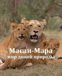 Постер «Масаи-Мара: мир дикой природы»