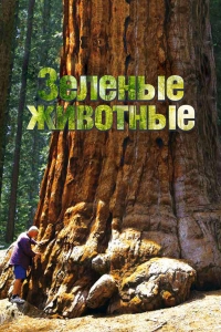 Постер «Зеленые животные»