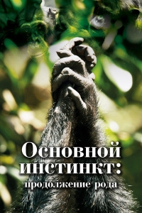 Постер «Основной инстинкт. Продолжение рода»