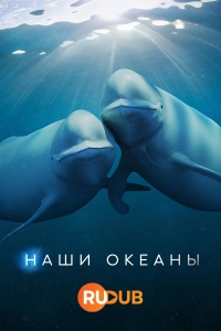 Постер «Наши океаны»