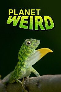 Постер «Странная планета (2024)»