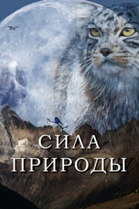 Постер «Сила природы»