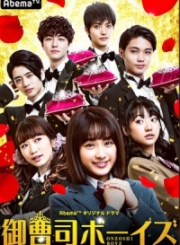 Постер «Благородные юноши»