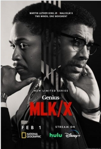 Постер «Гений»