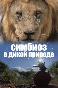 Постер «Симбиоз в дикой природе»