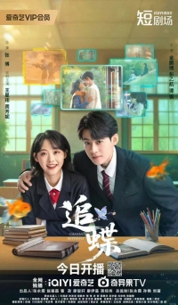 Постер «В погоне за бабочкой»