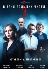 Постер «В тени больших чисел»
