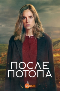 Постер «После потопа»