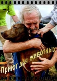 Постер «Приют для животных»
